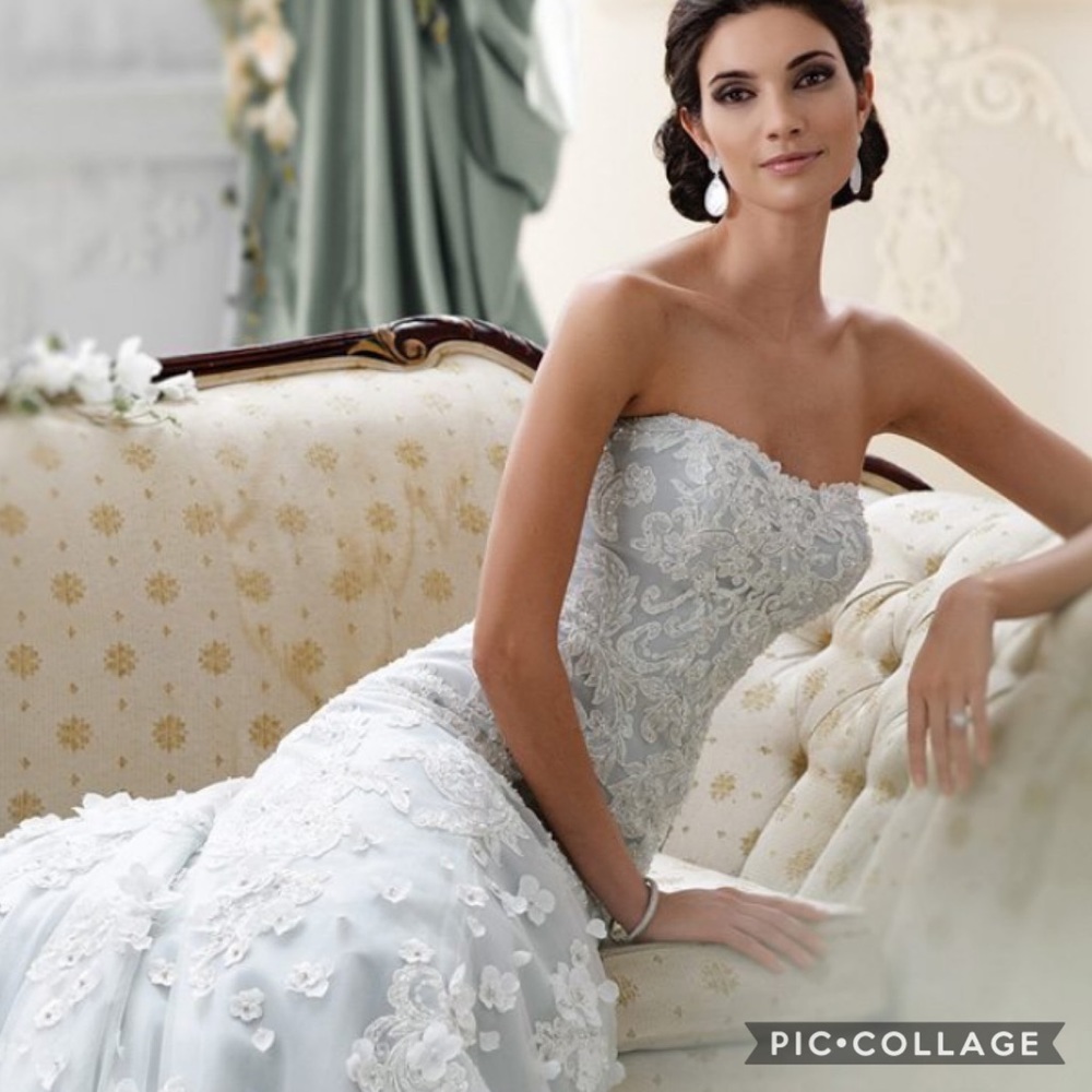 David Tutera Wedding Gown soft baby blue underly